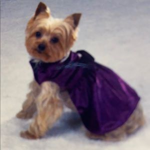 Beautiful Purple crushed velvet Dog Dress w/Pearls
